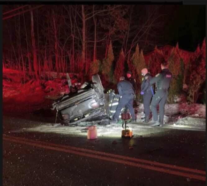 Police: Driver in rollover that killed dog was on drugs